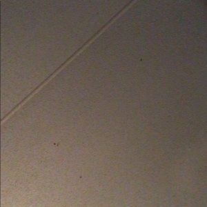 Meet your Posher, Jamisha